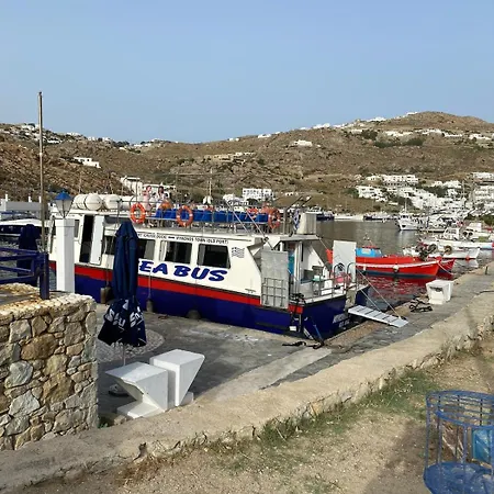公寓 Ibiscus Chora Housemyconos Mykonos Town