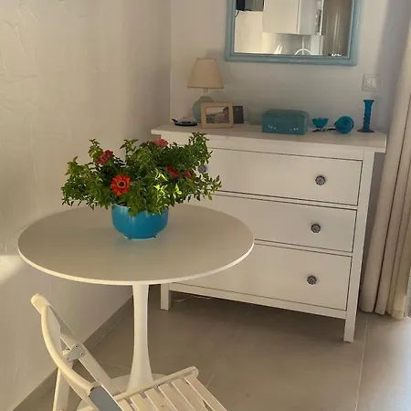 公寓 Ibiscus Chora Housemyconos Mykonos Town