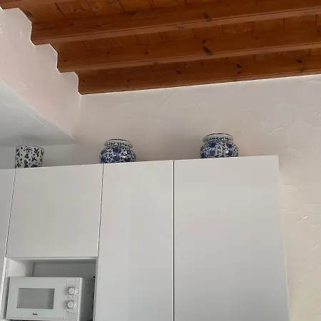 公寓 Ibiscus Chora Housemyconos Mykonos Town