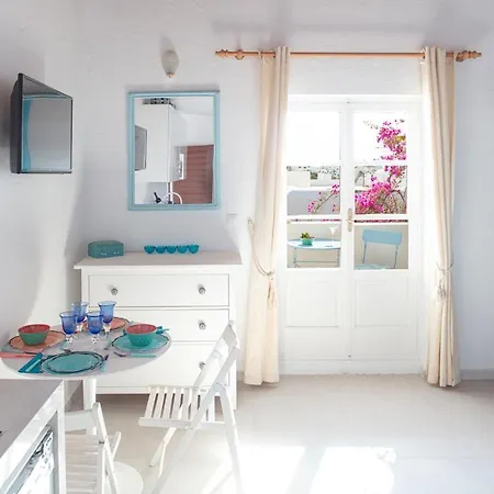公寓 Ibiscus Chora Housemyconos