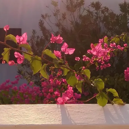 Ibiscus Chora Housemyconos 公寓 Mykonos Town